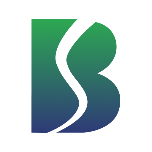 BELRISE INDUSTRIES LTD logo